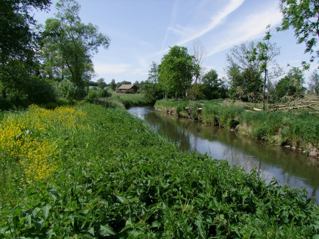 Kammel Langenhaslach