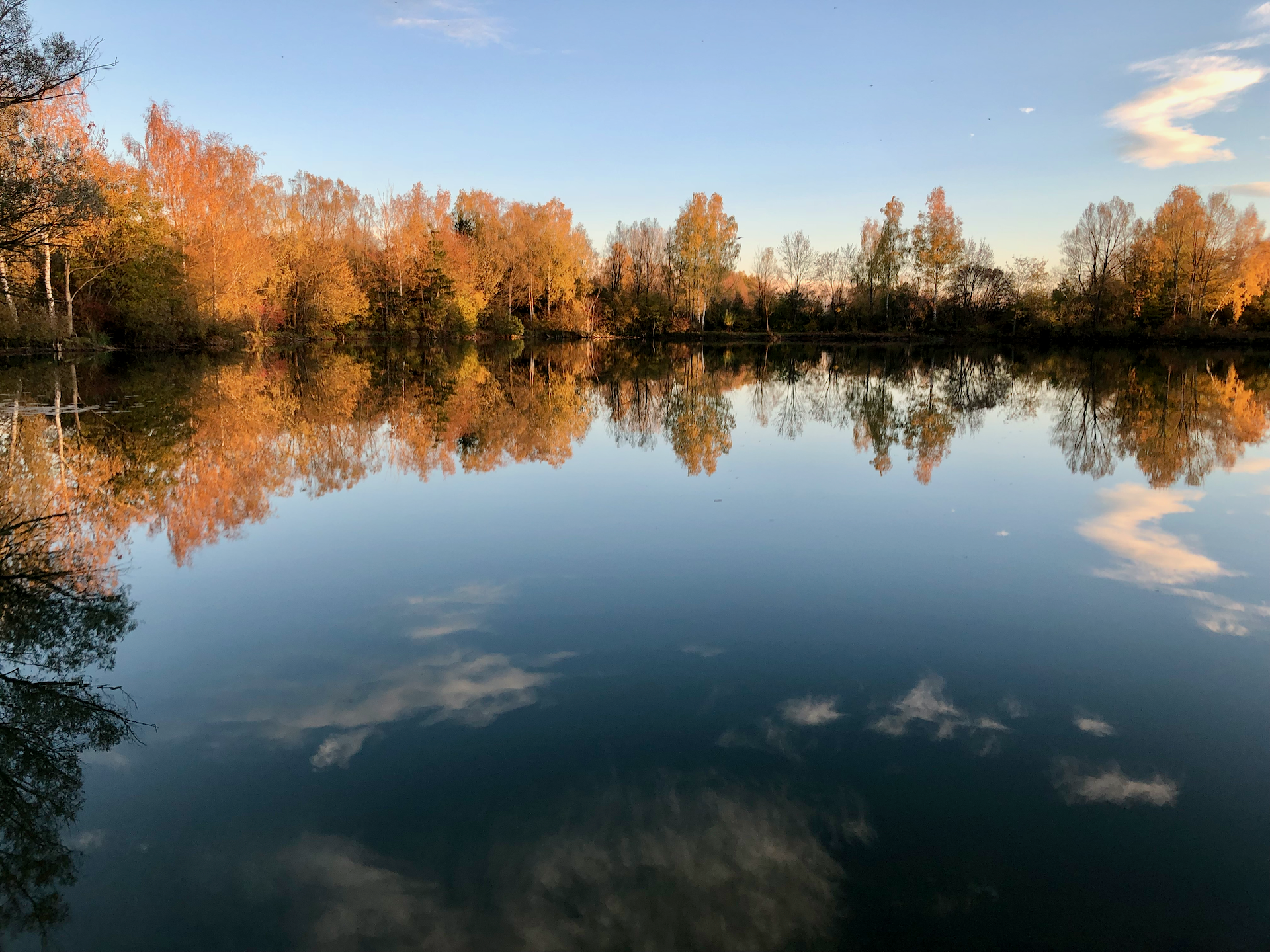 Edelstetter Weiher im Herbst